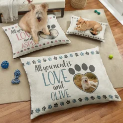 All You Need is Love Photo Pet Bed