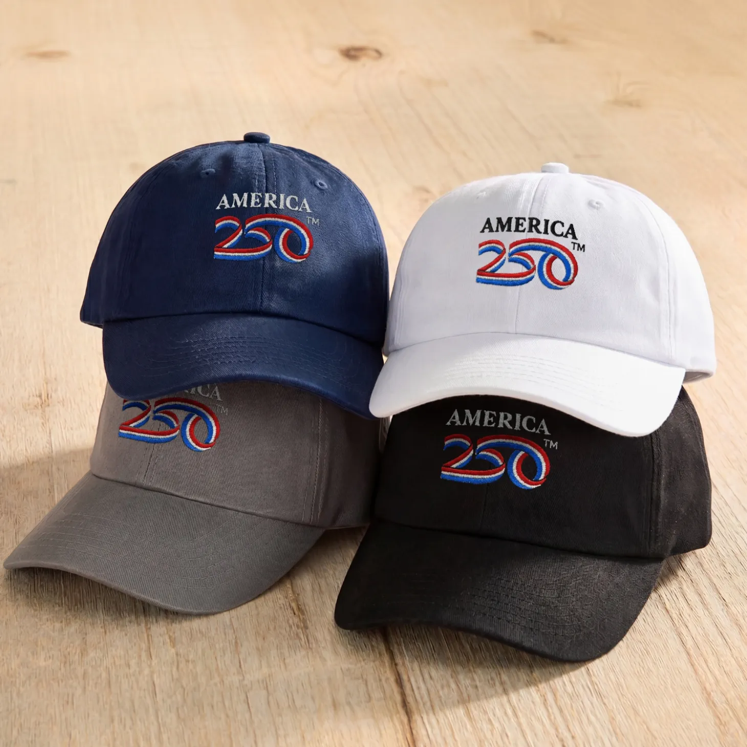 America250™ Logo Embroidered Hat