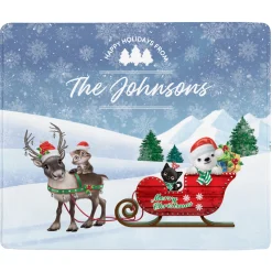 Animal Club International™ Christmas Delivery Plush Blanket