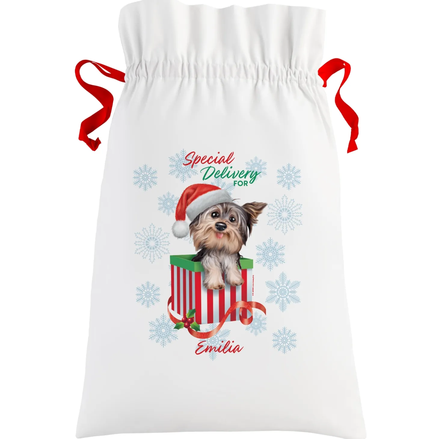 Animal Club International™ Oversized Gift Bag