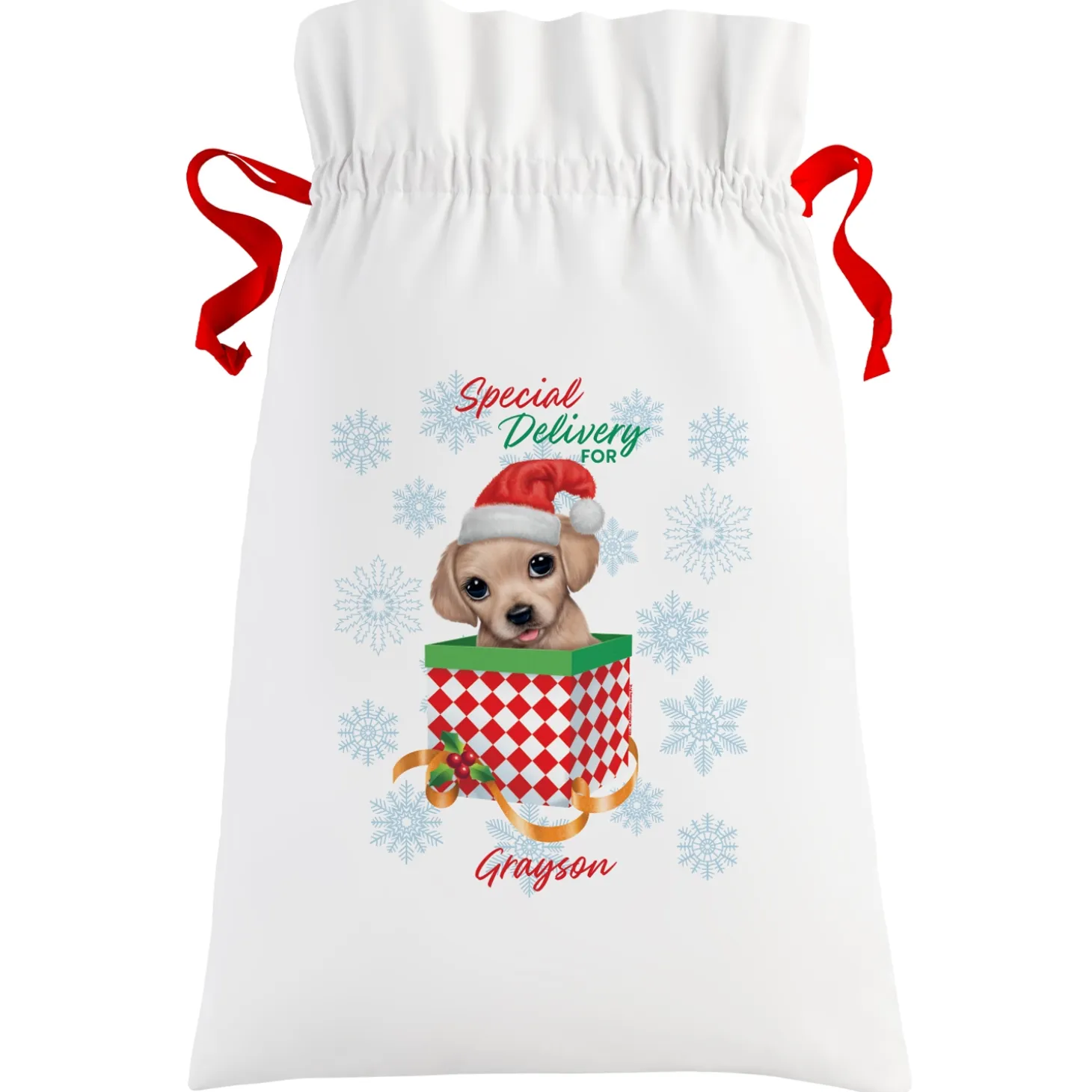 Animal Club International™ Oversized Gift Bag