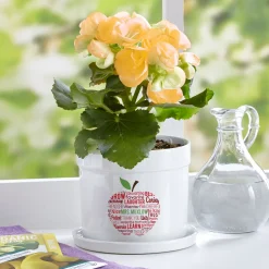 Apple for Teacher Planter with Tray
