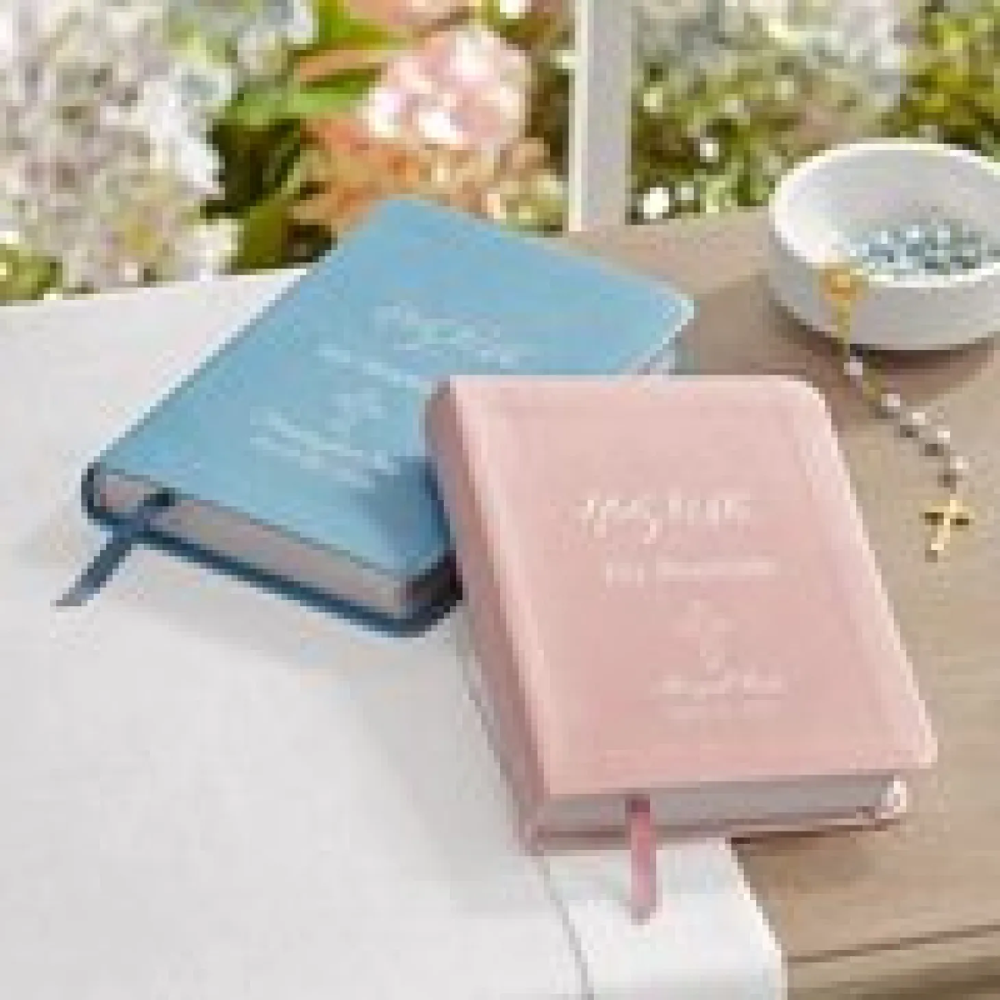 Baby Baptism Bible