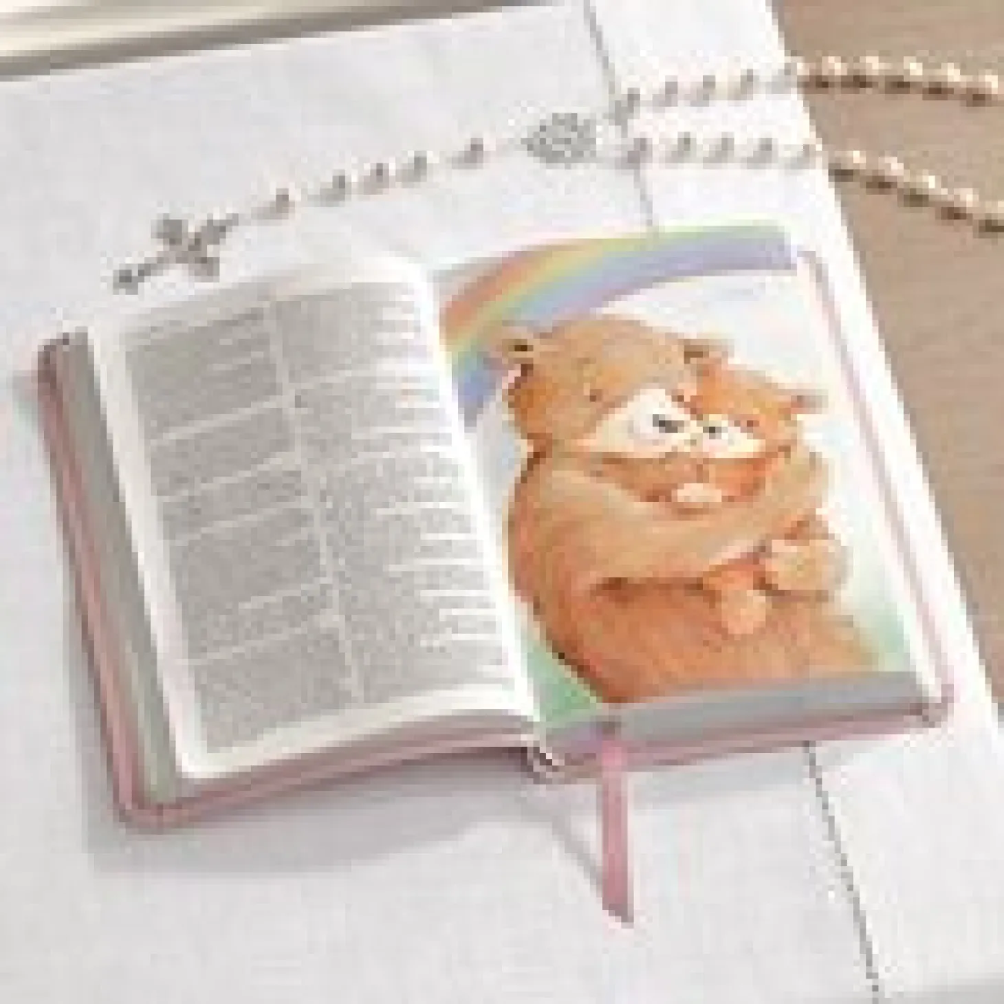 Baby Baptism Bible