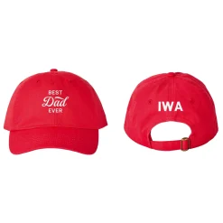 Best Dad Ever Embroidered Hat