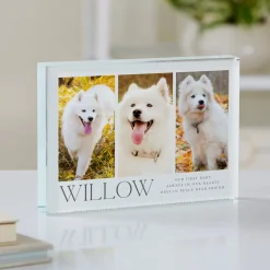 Best Friend Pet Photo Glass Block