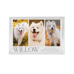 Best Friend Pet Photo Glass Block