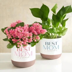 Best Mom Planter