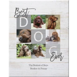 Best Pet Ever Photo Canvas