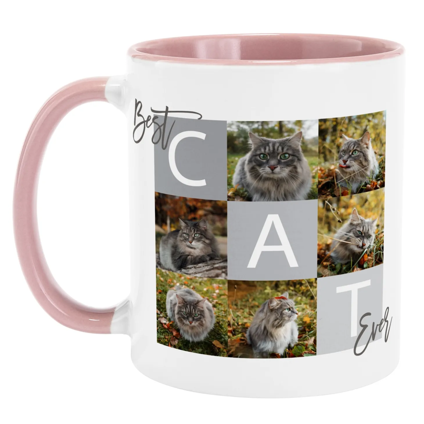 Best Pet Ever Photo Mug