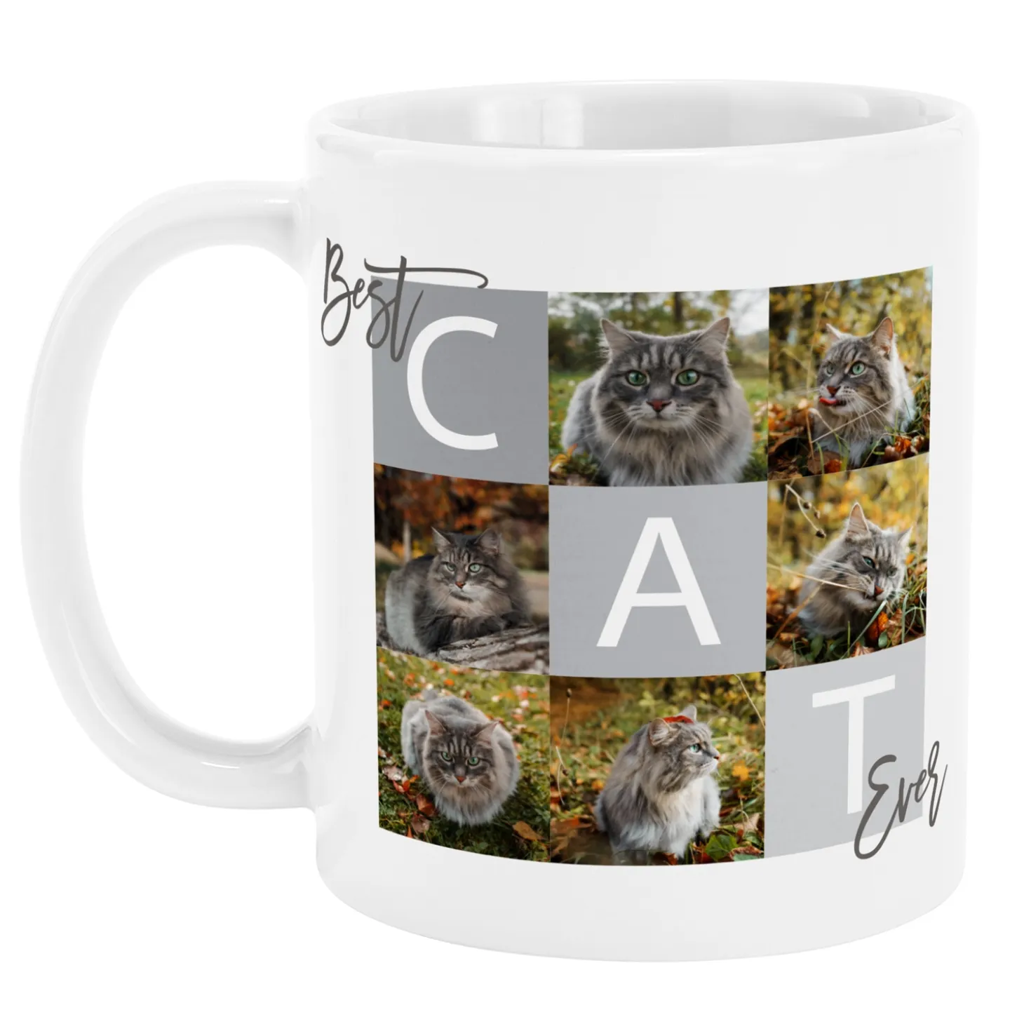 Best Pet Ever Photo Mug