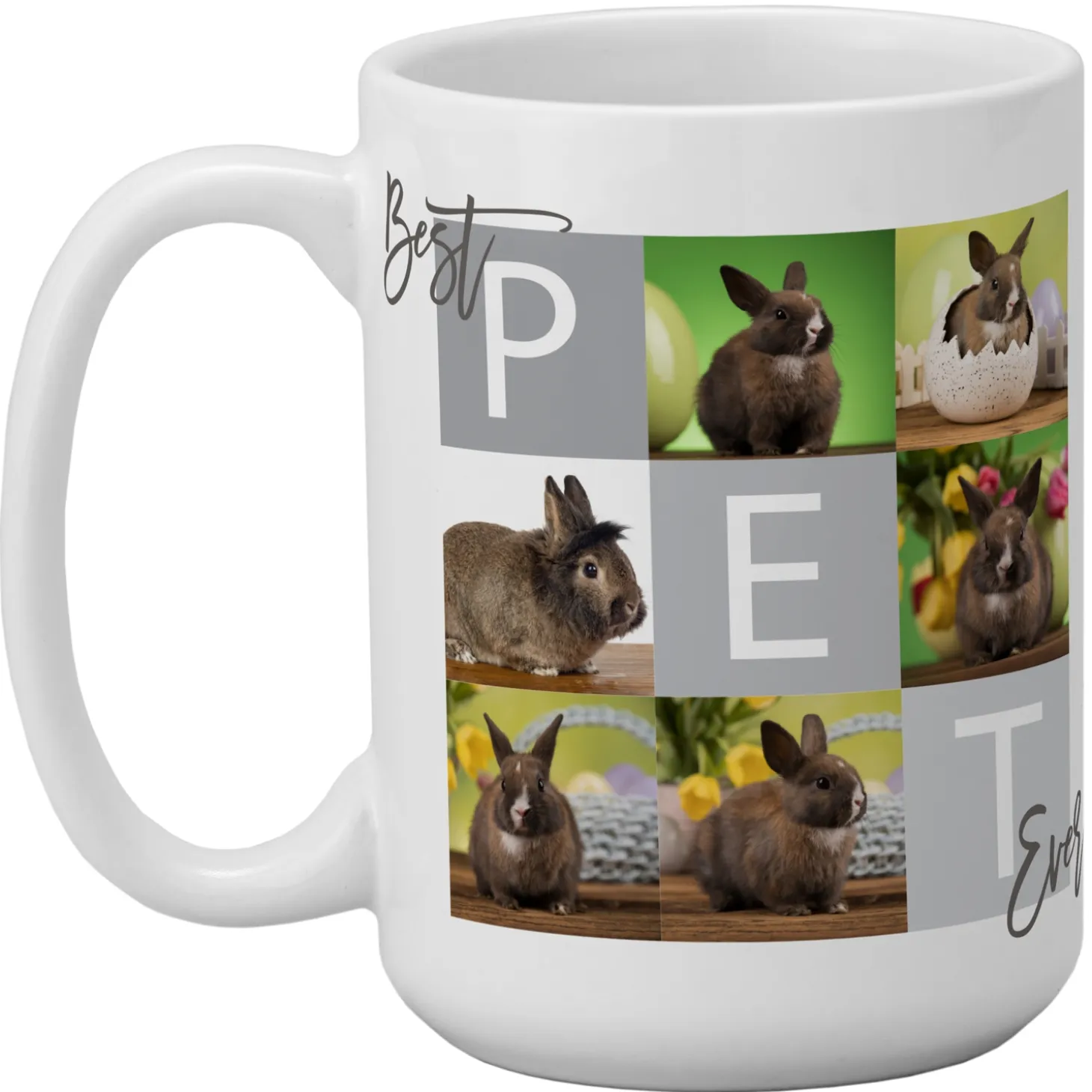 Best Pet Ever Photo Mug