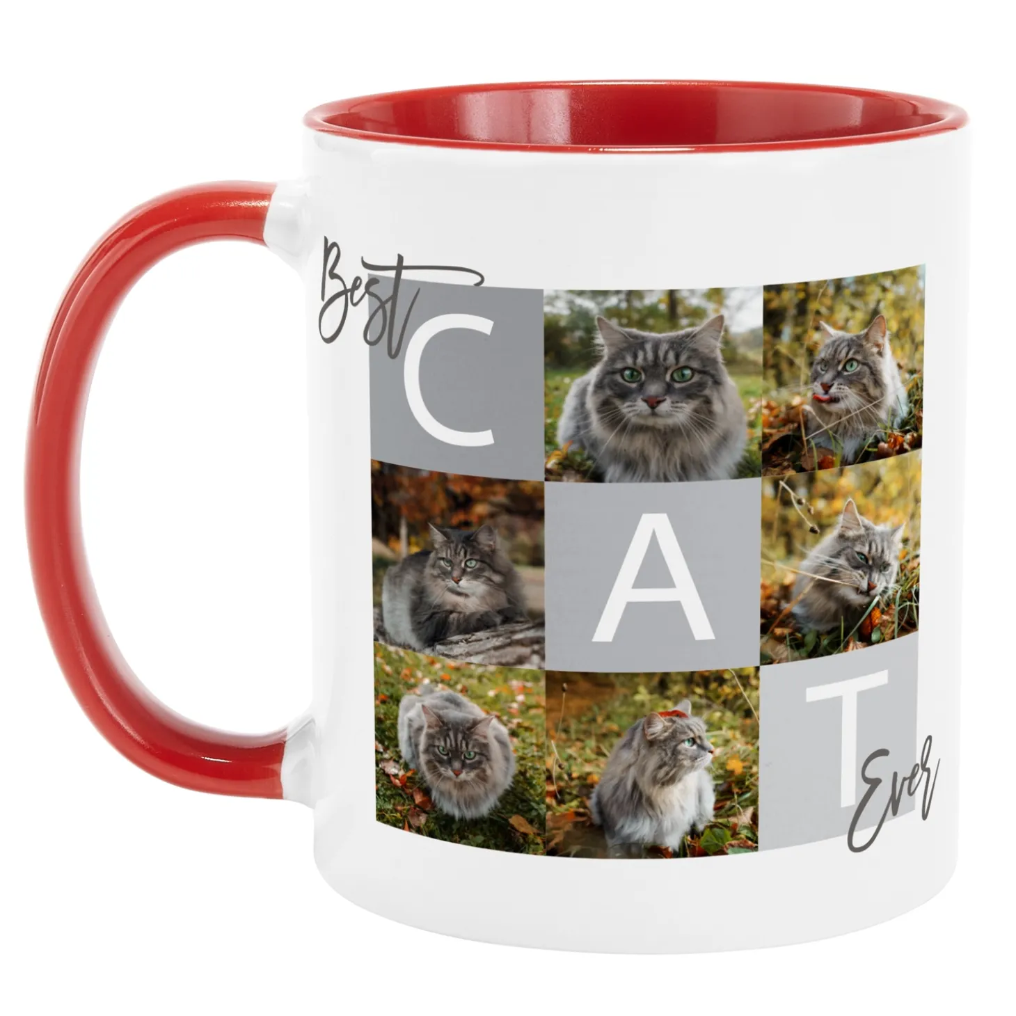 Best Pet Ever Photo Mug