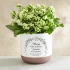 Blossom Gateway Memorial Planter