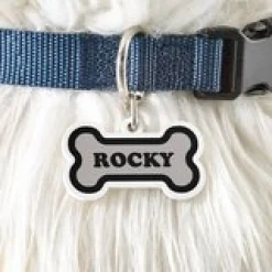 Bold and Bright Acrylic Pet Tag