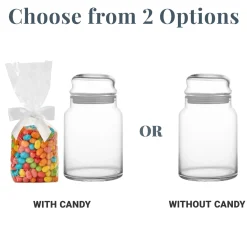 Buggy Love Glass Treat Jar