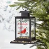 Cardinals Appear When Angels Are Near Bird Feeder