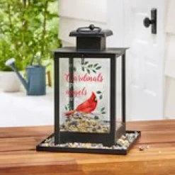 Cardinals Appear When Angels Are Near Bird Feeder