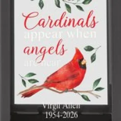 Cardinals Appear When Angels Are Near Bird Feeder