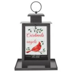 Cardinals Appear When Angels Are Near Bird Feeder