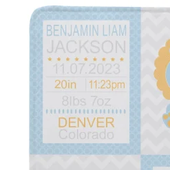 Chevron Baby Information Blanket