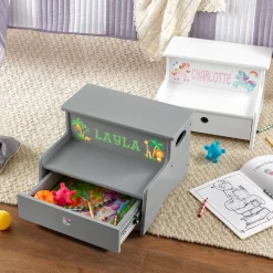 Colorful Icon Storage Step Stool