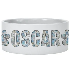 Cool Cats and Dogs Pet Bowl