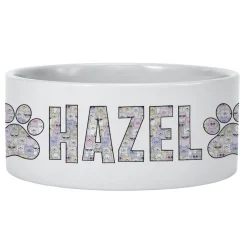 Cool Cats and Dogs Pet Bowl