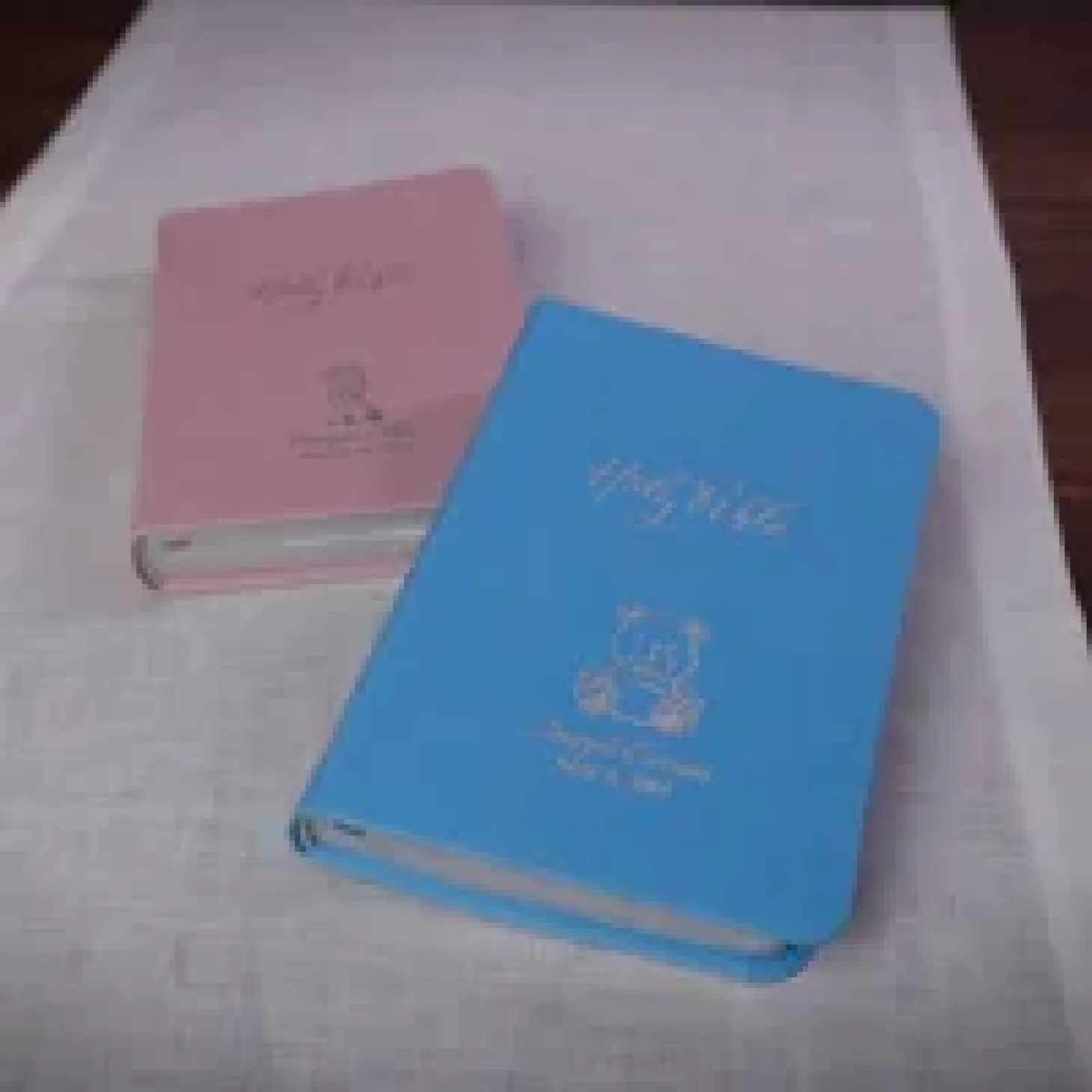 Create Your Own Children's Bible