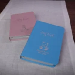 Create Your Own Children's Bible