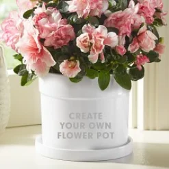 Create Your Own Flower Pot