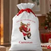 Donald Zolan Santa’s Special Delivery Oversized Gift Bag