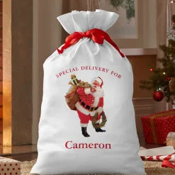 Donald Zolan Santa’s Special Delivery Oversized Gift Bag