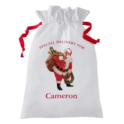 Donald Zolan Santa’s Special Delivery Oversized Gift Bag