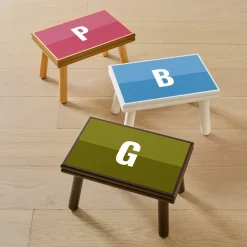 Duo Color Initial Step Stool
