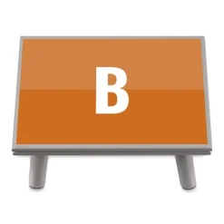 Duo Color Initial Step Stool