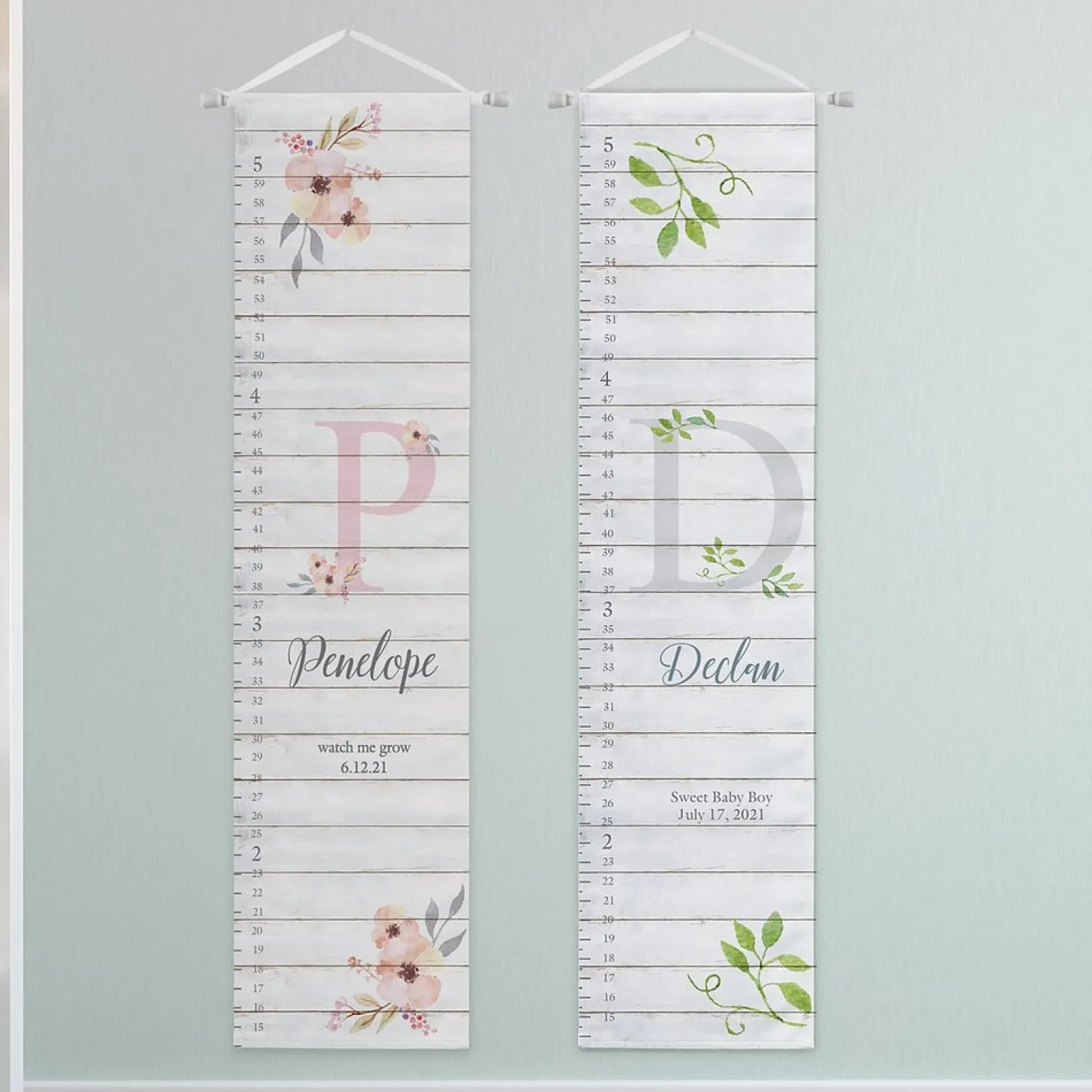 Elegant Baby Growth Chart