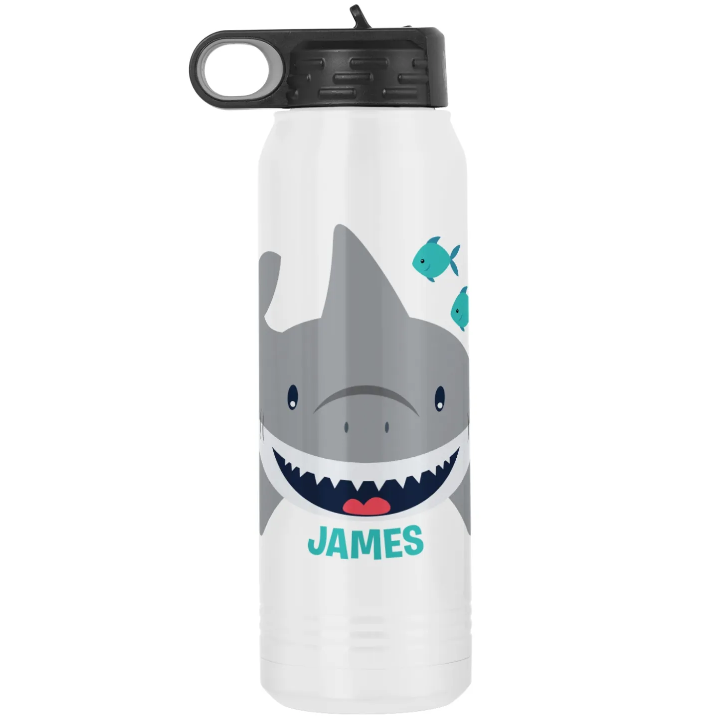 Fun Graphic Stainless Steel Water Bottles