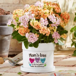Heartstrings Planter with Tray
