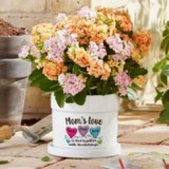 Heartstrings Planter with Tray