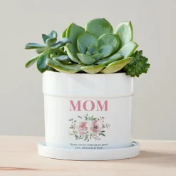 Helping Me Grow Planter with Tray