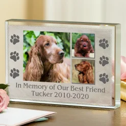 In Loving Memory Pet Photo Glass Block