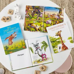 i See Me!® My Very Own Name Personalized Book