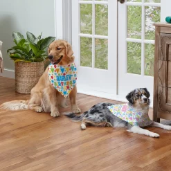 It's My Birthday Pet Bandana