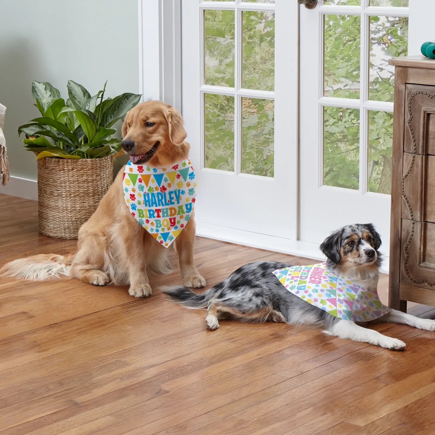 It's My Birthday Pet Bandana