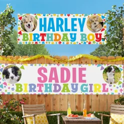 It's My Birthday Pet Banner