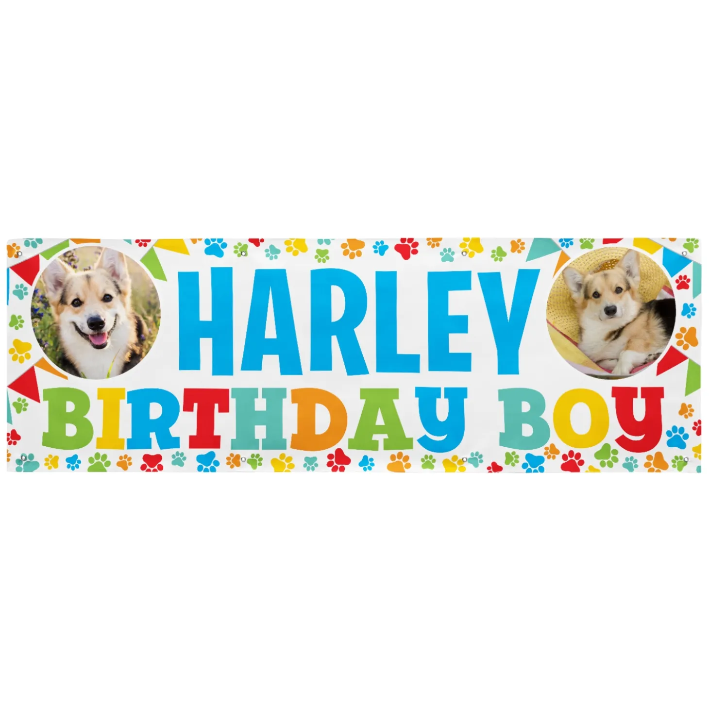It's My Birthday Pet Banner