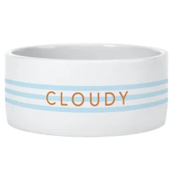 Large Stripes Pet Bowl