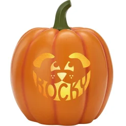 Light-Up Design Your Own Pumpkin Family