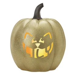Light-Up Design Your Own Pumpkin Family